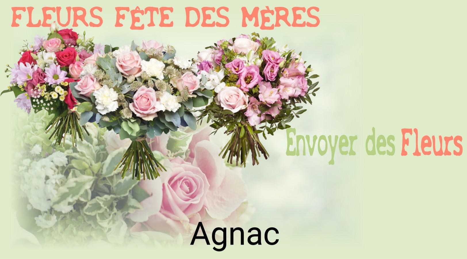 Bouquet de Fête des Mères livré à Agnac
